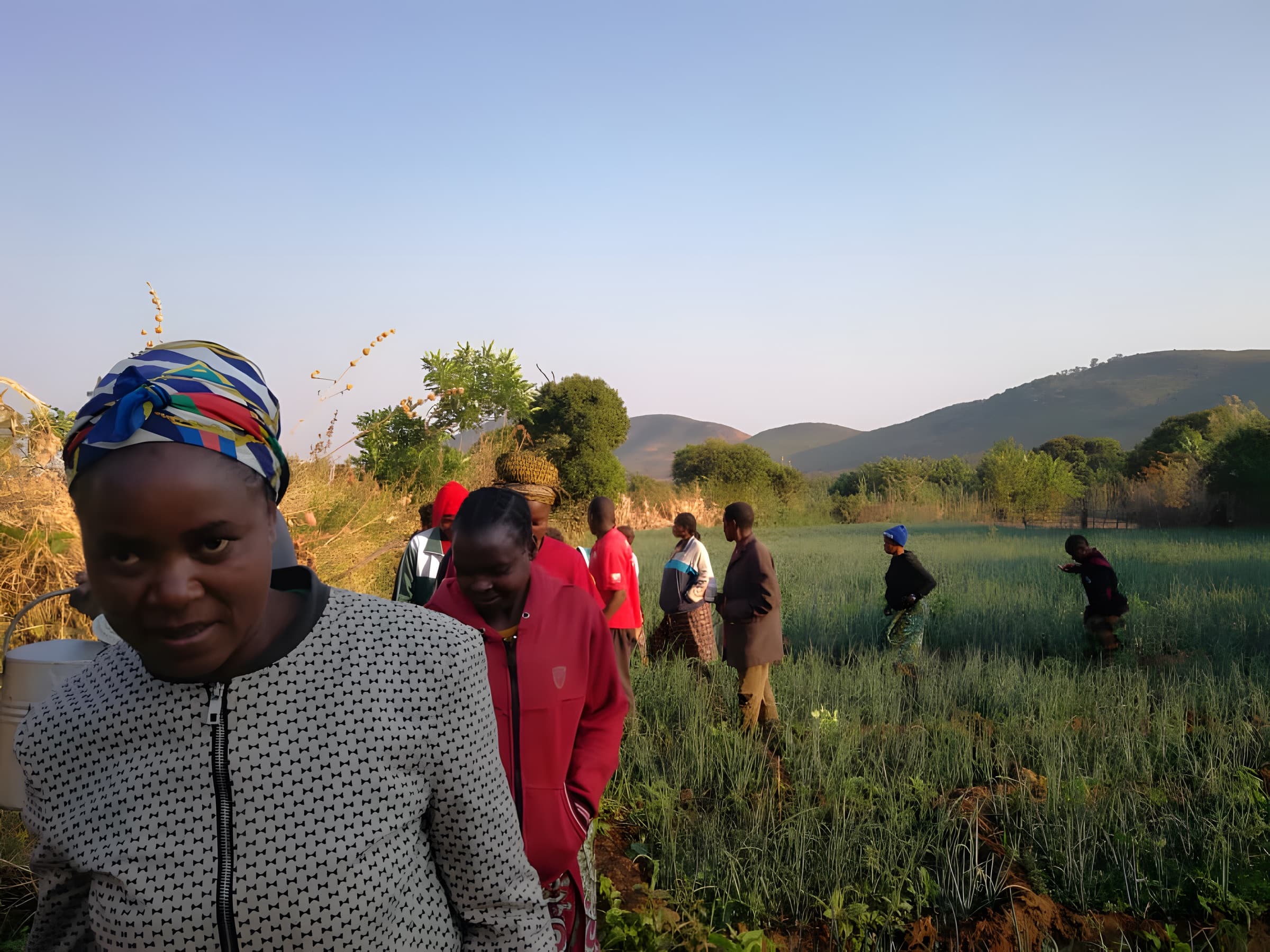 Women farmers tending their onion field at golden hour in Zambia, with rolling hills behind.